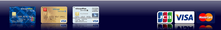 主なユナイテッド・マイレージプラスカードと選択可能な提携クレジット会社